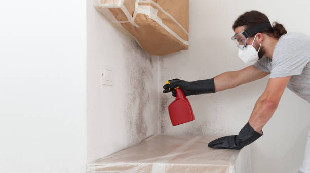 Professional Mold Inspection And Testing technician working in East Islip, NY
